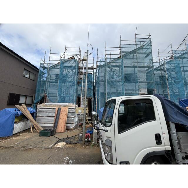 7月中旬撮影