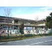 幼稚園、保育園