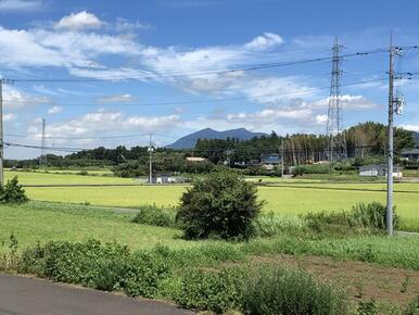 遠方には筑波山が望めます