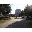 公園
