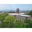 大学