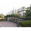 大学