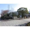 大学