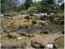 仙台市野草園