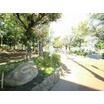 公園