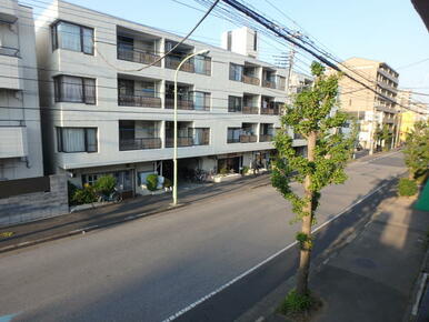 前面道路で風通しがいいです。