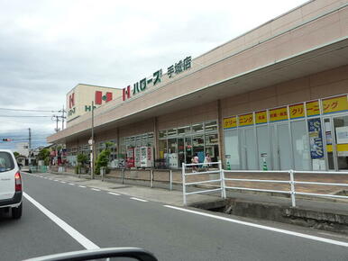 ハローズ手城店