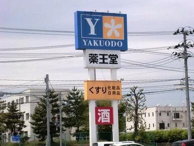 薬王堂