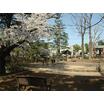 公園