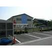 幼稚園、保育園