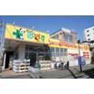 販売店
