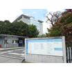 大学