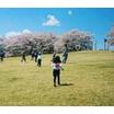公園