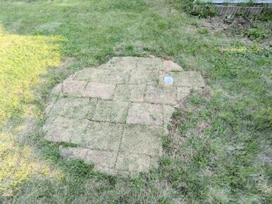 お手製ゴルフグリーン