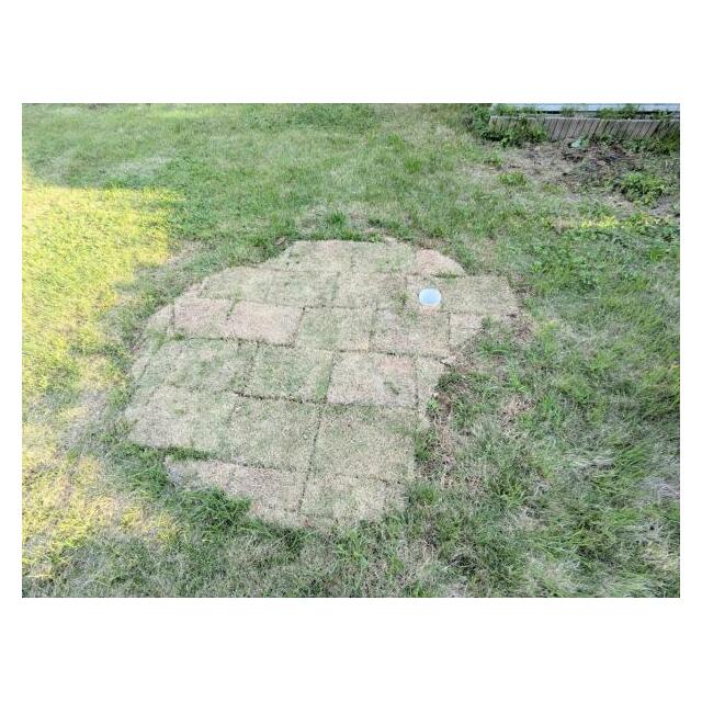 お手製ゴルフグリーン