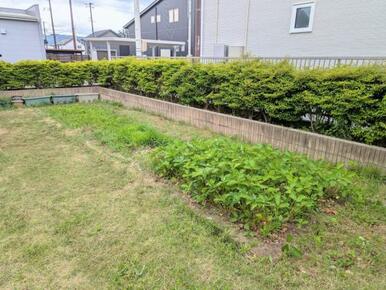 家庭菜園スペース