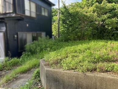 現地写真