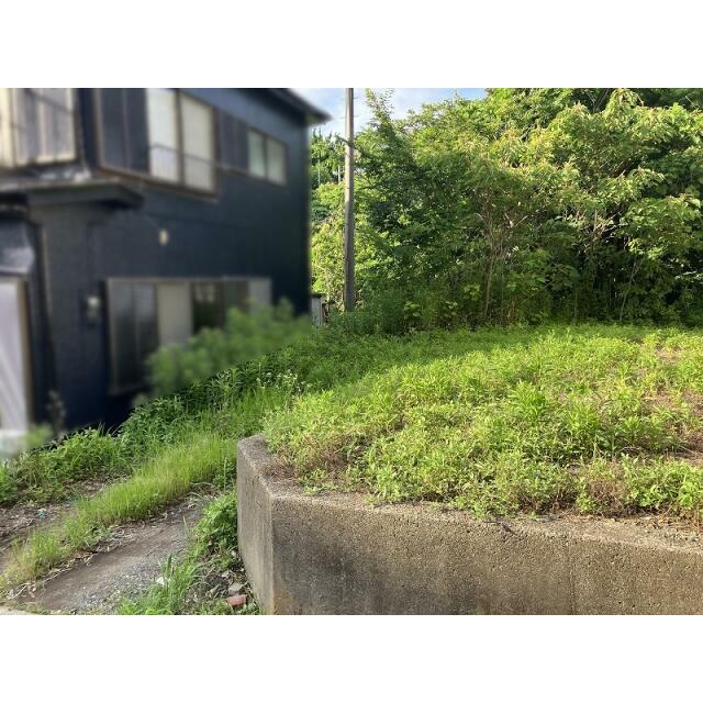 現地写真
