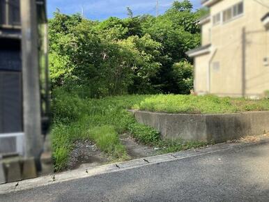 現地写真