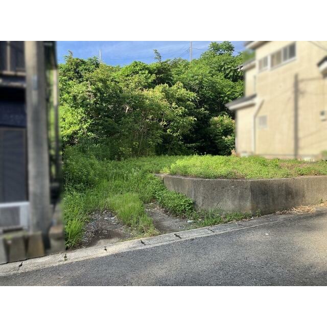現地写真