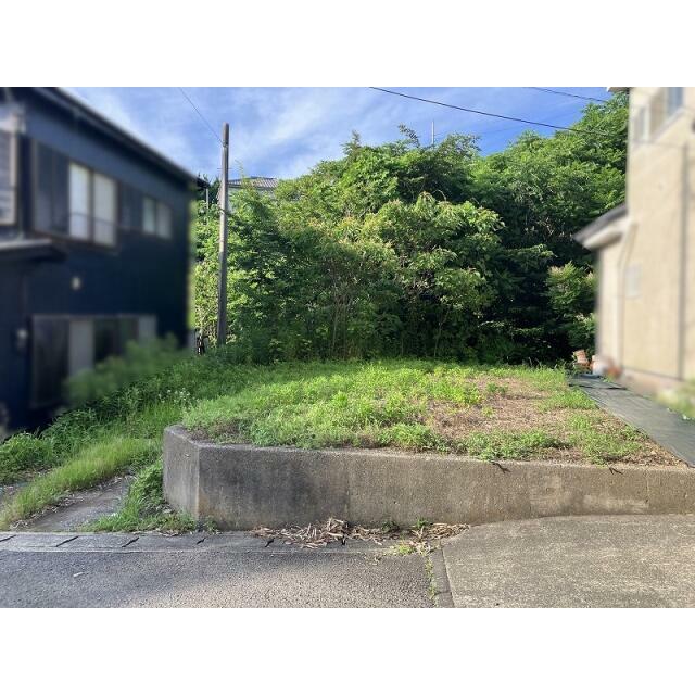 現地写真
