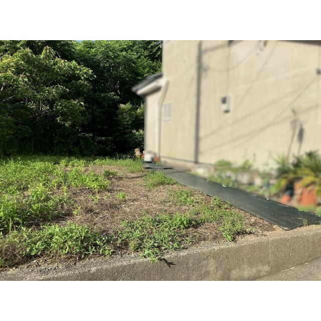 現地写真