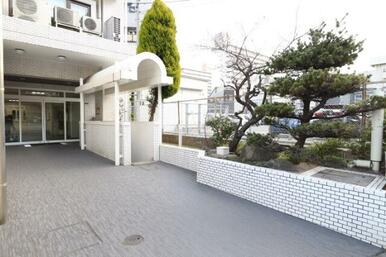 梅の花がきれいです☆