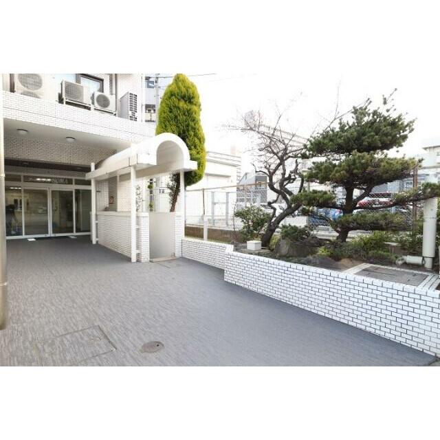 梅の花がきれいです☆