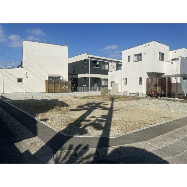 ◆南西から◆現地（2026年1月）撮影