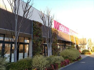 ベルクス　ファインシティ東松戸店ティ東松戸店