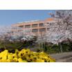大学
