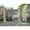 公園