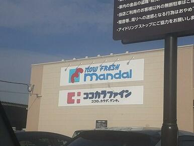ココカラファイン島泉店様