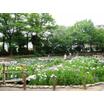 公園