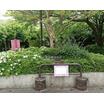 公園