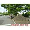公園