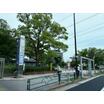 公園
