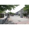 大学