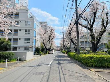 「前面道路」