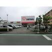 販売店