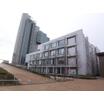 大学