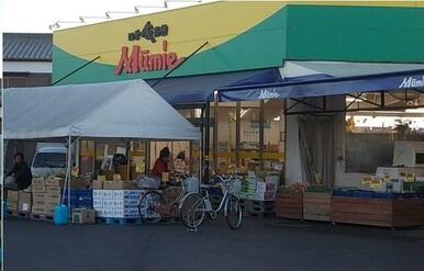 ムーミー三本松店さん