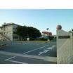 大学
