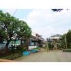 幼稚園、保育園