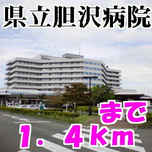胆沢病院