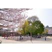公園