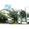中学校