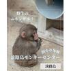 レジャー・観光