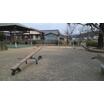 公園