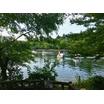 公園